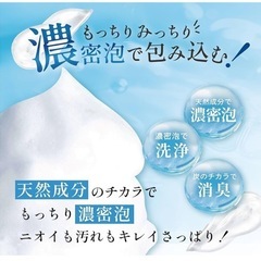 新品未使用未開封品です❣️❣️ ウィル クレンズ フットソープ 医薬部外品 炭 柿 茶 フットスクラブ 足洗いソープ 足の匂い消し 足用石鹸 ❣️の画像
