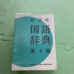 国語辞典辞書