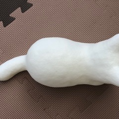 ネコライト(置き型、電池式、白)の画像