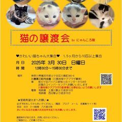 猫の譲渡会　by にゃんころ隊 3/30