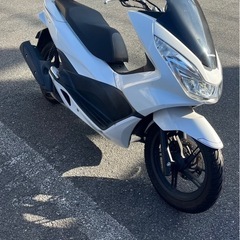 SHAD SH40 ベース付き