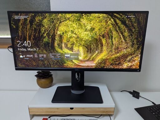 中古Dellワイドスクリーンモニター 29インチ – 9,000円