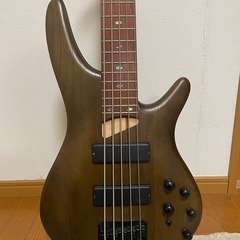 Ibanez 5弦　アクティブ ベースの画像