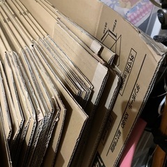 ダンボールの画像