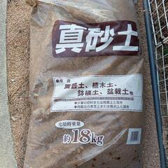 砂と石