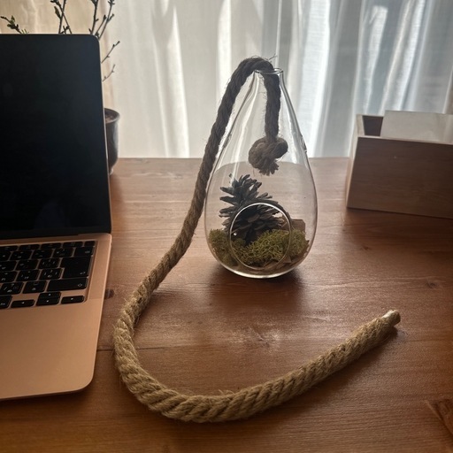 観葉植物　ポッド