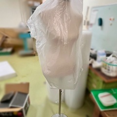 トルソー（服飾）