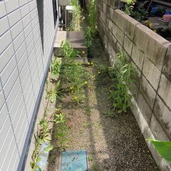 草刈り、草取り、剪定やります！ − 秋田県