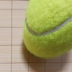 スポーツをやりましょう！！