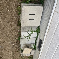 レンガ　お話し中　