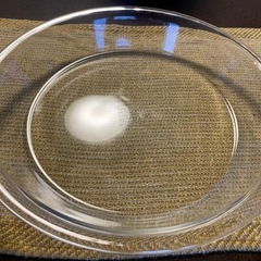 PYREX 大皿
の画像
