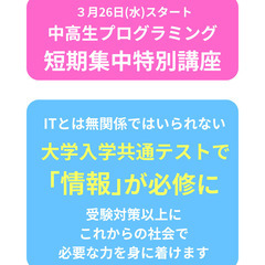 【受験対策＆試験対策】情報Ⅰ対策！　中高生向けプログラミング短期集中講座の画像