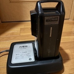 電動自転車ビッケの画像
