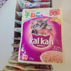 12ヶ月　子猫用　キャットフード　猫餌