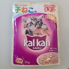 12ヶ月　子猫用　キャットフード　猫餌の画像