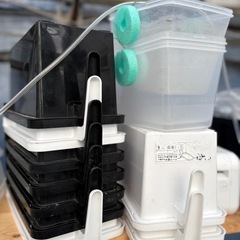 NV BOX  タライ　メダカ飼育にどうぞの画像