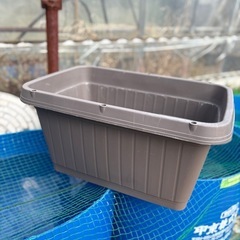 NV BOX  タライ　メダカ飼育にどうぞの画像