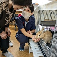 【日勤のみ！】週3日～/1日4h～OK！充実したサポート体制！看護スタッフの画像