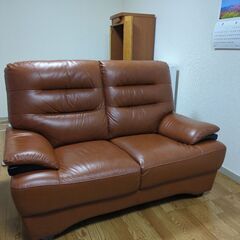 本日最終掲載日】【ネット決済対応】イーブイズセット イーブイ