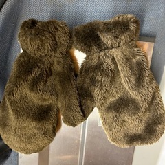 犬の着ぐるみ
の画像