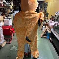 犬の着ぐるみ
の画像