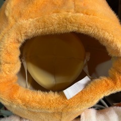 犬の着ぐるみ
の画像