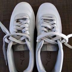 PUMA SOFTFOAM 25.5cm メンズスニーカー