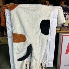 猫の着ぐるみの画像