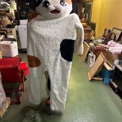 猫の着ぐるみ