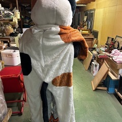猫の着ぐるみの画像