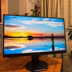 PHILIPS 273B7