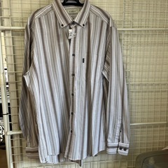 men's golden bearボタンダウン長袖シャツ