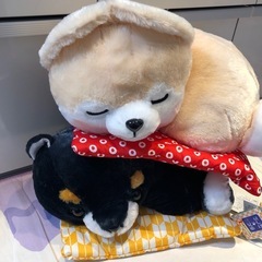 豆柴三兄弟お座布でくつろぎ❌2