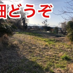 畑、使いませんか？