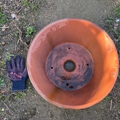 植木鉢　無料でどうぞ！の画像