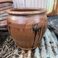 植木鉢　無料でどうぞ！の画像