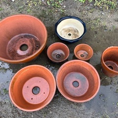 植木鉢　無料でどうぞ！の画像