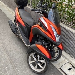 トリシティ