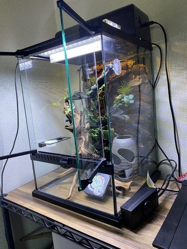 爬虫類ケージセット
