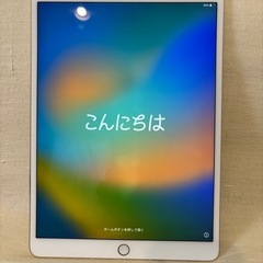 【値下げ】iPad Pro 10.5インチ 256GB Wi-F...