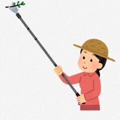 高枝切り鋏　枝切ばさみ　安くで譲って下さい。