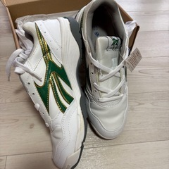 青森中央高校　新品外履き　ライン→緑の画像