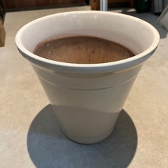 プランター(陶器)白