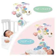 メリーの画像