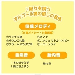 メリーの画像