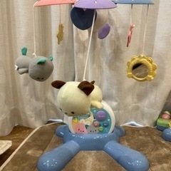 メリーの画像