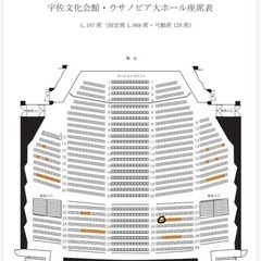 コンサートチケットの画像