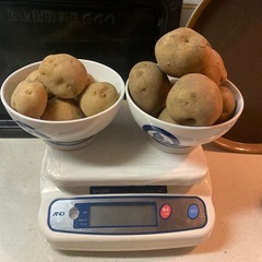 華麗ではない一族／イモ