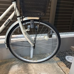 エイリン　自転車
の画像