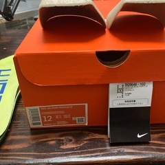 ナイキ エアズームペガサス 37 US12 30cmの画像